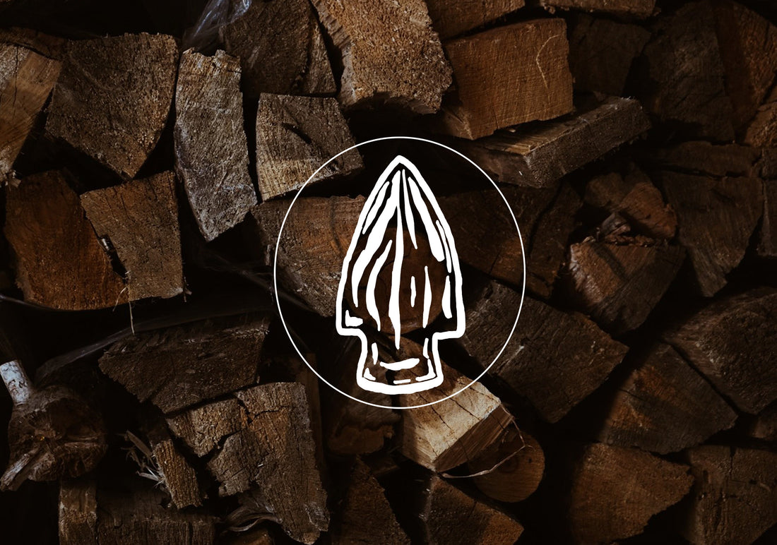 The Arrowhead of Wild Cane: Built on Storytelling