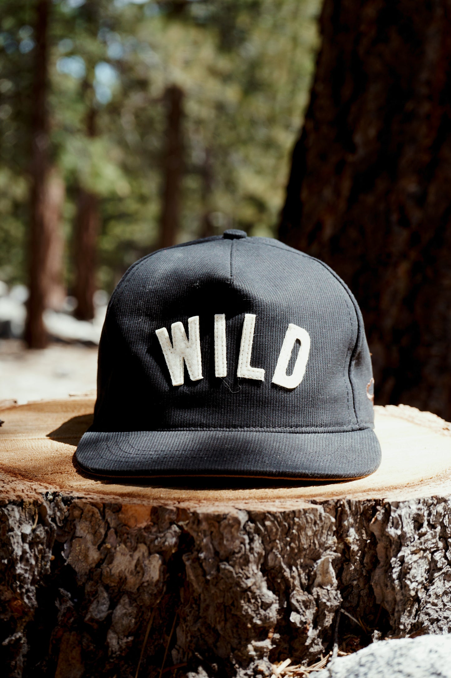 Wild Cane x Ampal Creative: Wild Hat